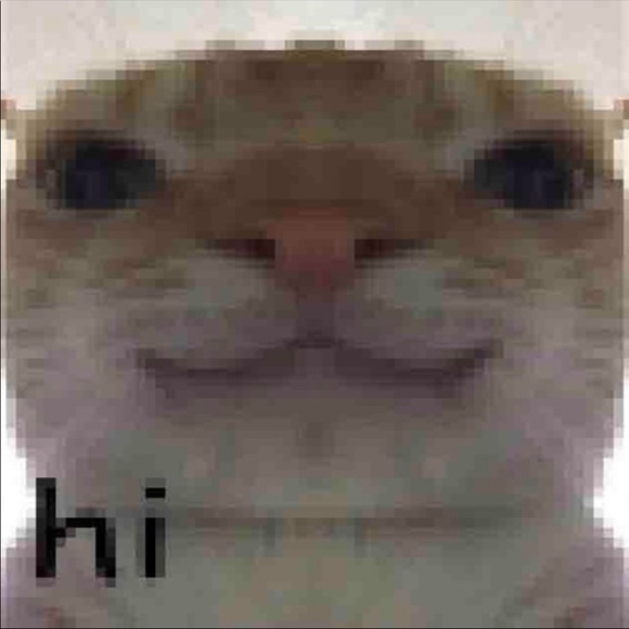 Meet your Posher, Jasmyn - Picture 1 of 1